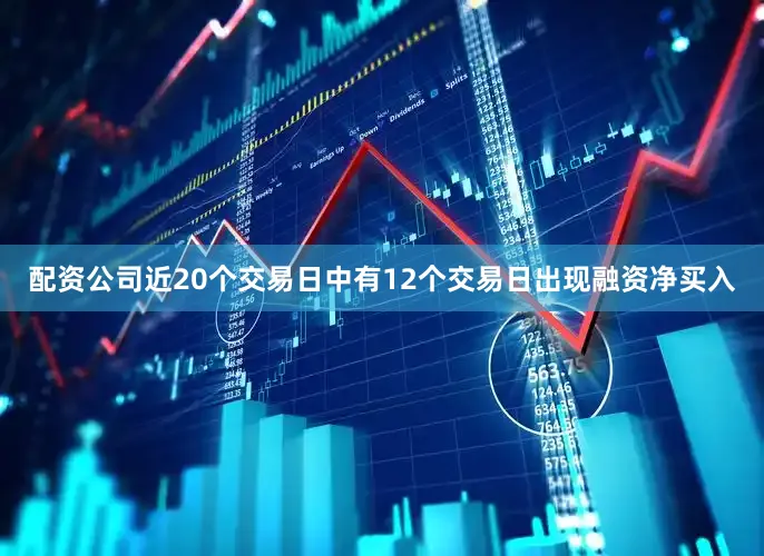 配资公司近20个交易日中有12个交易日出现融资净买入