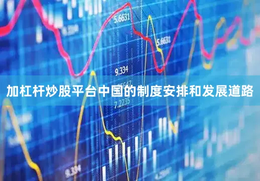 加杠杆炒股平台中国的制度安排和发展道路